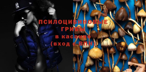 дживик Киренск