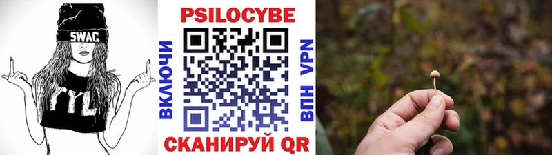 Купить  Заинск  Галлюциногенные грибы мицелий 