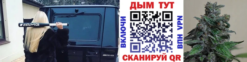 Конопля OG Kush  Купить где  Заинск 